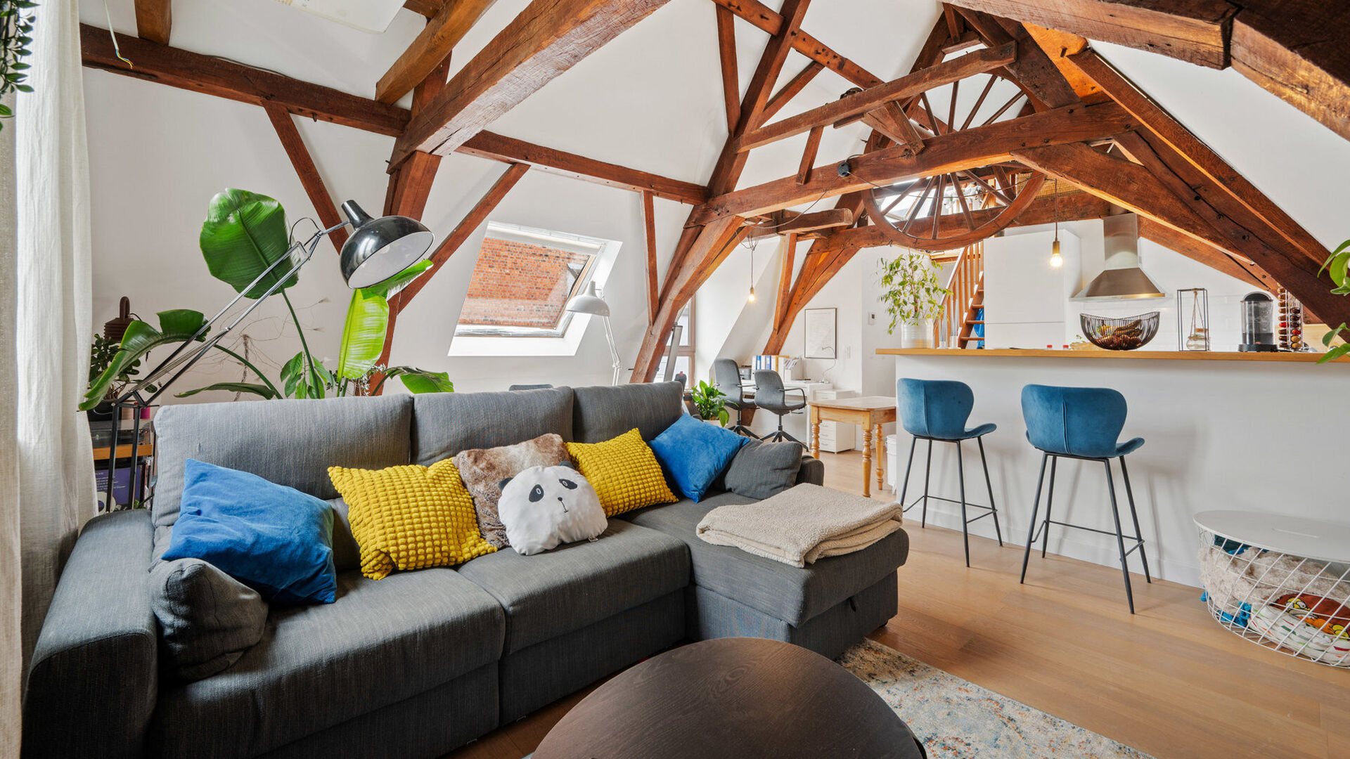 Appartement te koop in Leuven