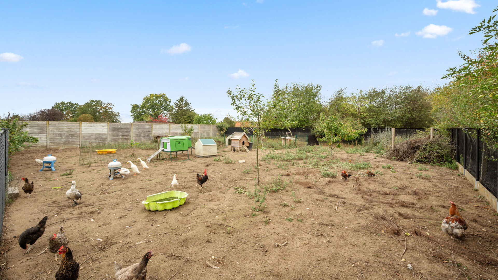 House for sale in Kortenaken Hoeleden