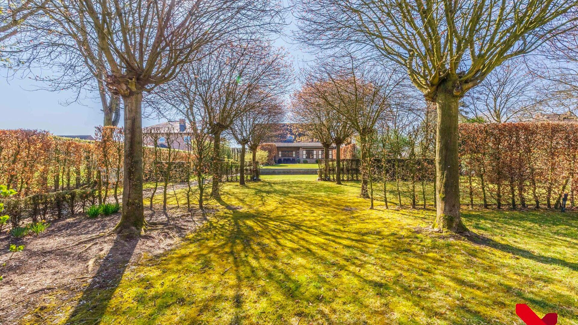 Maison à vendre à Bekkevoort