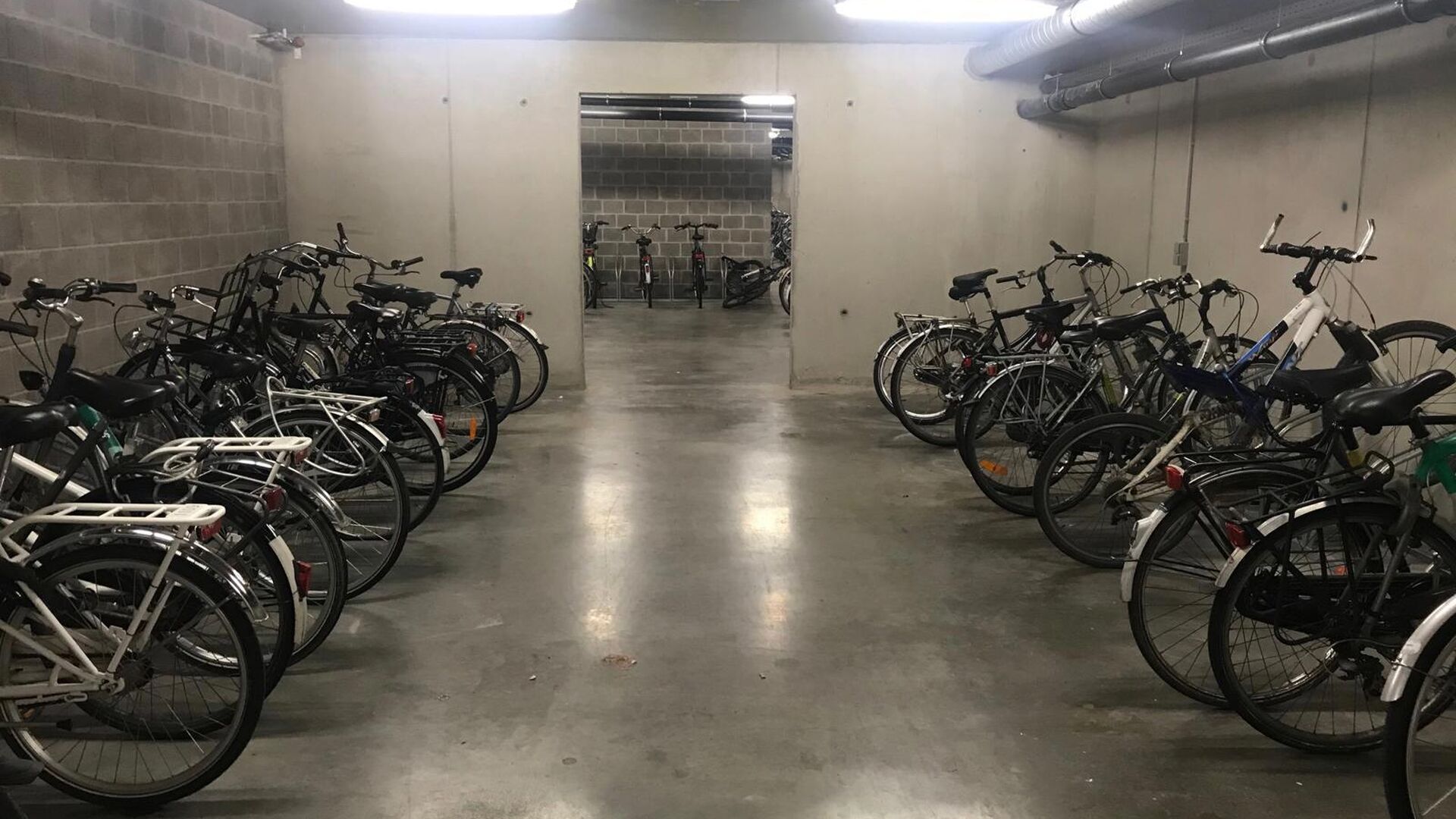 Student room located in a cozy student residence in a prime location. This room is furnished and has private sanitary facilities (shower and toilet).

The rented property includes the following utilities/services, which are shared with other residents: a 