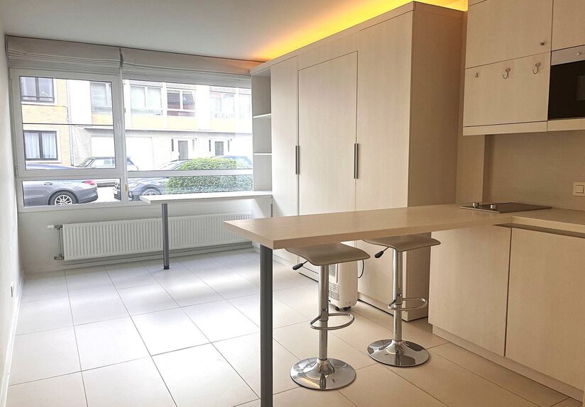 Welcome to this spacious student studio located in the heart of Leuven!

This large studio features a fully installed kitchenette, private bathroom facilities, and built-in furniture with a foldaway bed. Thanks to the large windows, you can also enjoy ple
